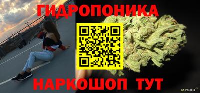 наркотики Будённовск
