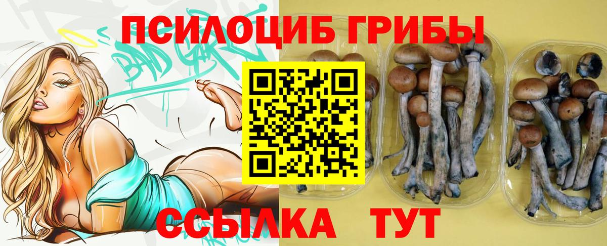 Псилоцибиновые грибы мухоморы Бахчисарай